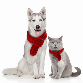 Merry Christmas Scarf for pet
