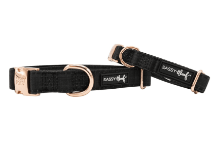 Collar (Color: black, size: medium)