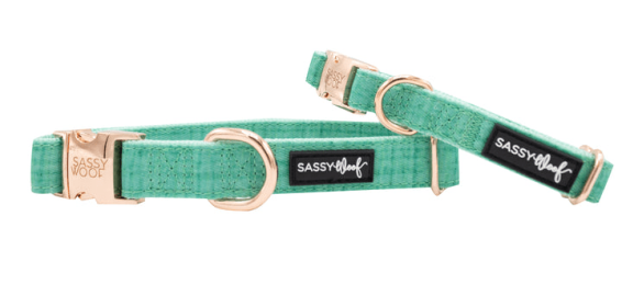 Collar (Color: Teal, size: large)