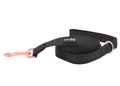 Leash (Color: black, size: One Size)