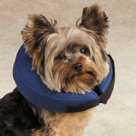 TH Inflatable Collar (Color: Blue, size: small)