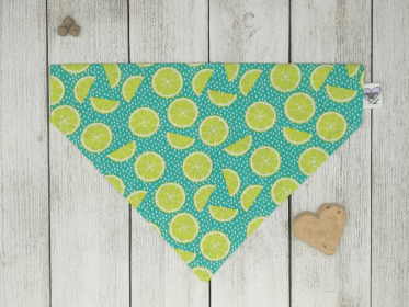Over-The-Collar Dog Bandana (size: Kitty)