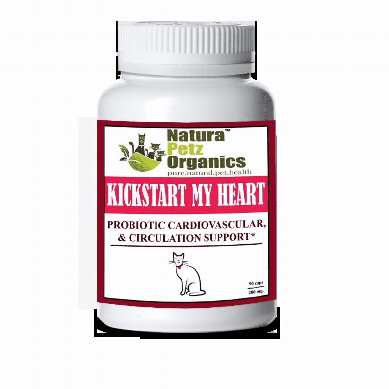 Kick Start My Heart Probiotic Heart (Cardiovascular) & Circulation Support* Kick Start My Heart Probiotic Heart (Cardiovascular) & Circulation Support*