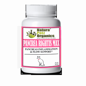 Pancrea Rightis Max Support* Capsules Pancreas Inflammation & Flow Support Dogs Cats* (size: CAT - 90 caps / 250 mg)