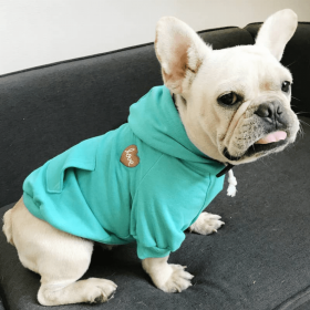 Matching Pet and Owner Clothing Set | Hoodie (Color: Blue, size: Med)