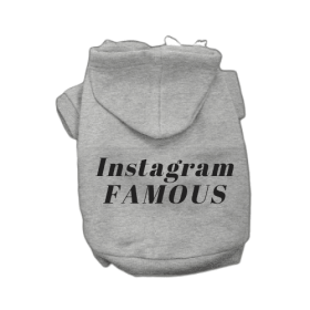 IG Famous Hoodie (Color: Grey, size: large)