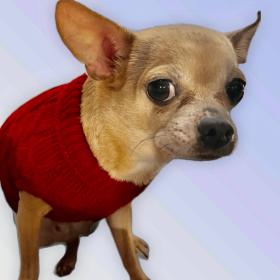 Knit Turtleneck Dog Sweater (Color: Wine Red, size: medium)