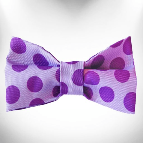 Polka Dot Dog - Monotone Bow Tie (Color: Purple)