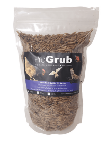 Dried Black Soldier Fly Larvae (size: 1lb)