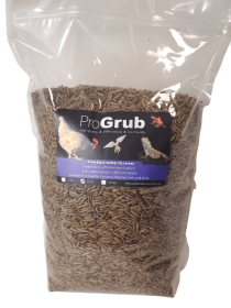 Dried Black Soldier Fly Larvae (size: 5lbs)