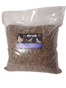 Dried Black Soldier Fly Larvae (size: 10lbs)