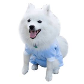 Cover Me by Tui for Dogs (Color: Blue, size: XXS)