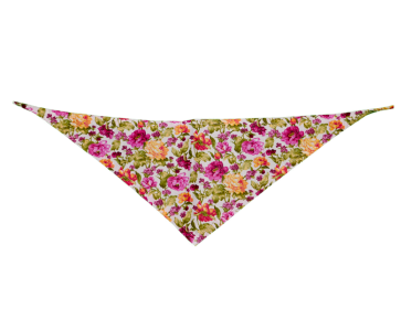 GG129FB|Pets Ribbons (size: large)