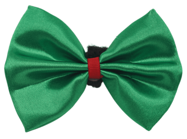 PR3000X|Pets Ribbons (Color: Green, size: 2")