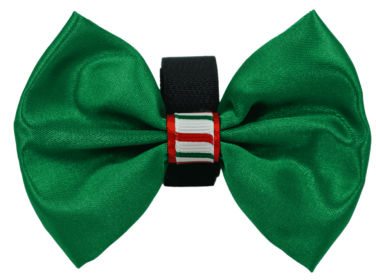PR3000XCS|Pets Ribbons (Color: Green, size: 5")