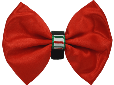 PR3000XCS|Pets Ribbons (Color: Red, size: 6")