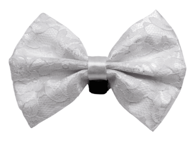 PR3002|Pets Ribbons (Color: 1, size: 4")