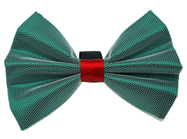PR3004X|Pets Ribbons (Color: Green, size: 3")