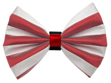 PR3006X|Pets Ribbons (Color: White/Red, size: 2")
