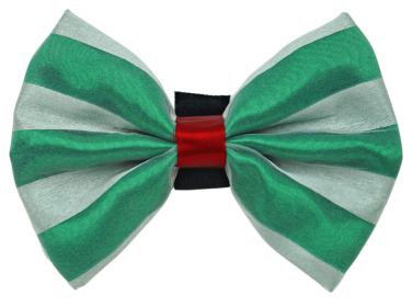 PR3006X|Pets Ribbons (Color: Green/White, size: 4")