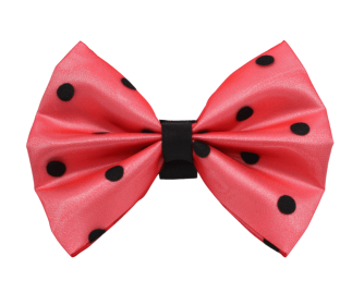 PR1001|Pets Ribbons (Color: 10, size: 5")
