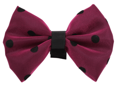 PR1001|Pets Ribbons (Color: 8, size: 6")