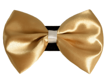 PR3001|Pets Ribbons (Color: 3, size: 6")