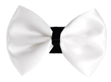 PR3001|Pets Ribbons (Color: 9, size: 6")
