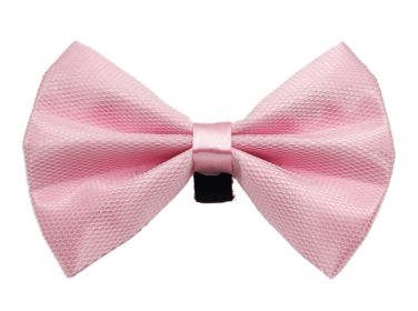 PR3004|Pets Ribbons (Color: 4, size: 3")