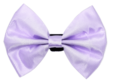 PR3004|Pets Ribbons (Color: 3, size: 4")