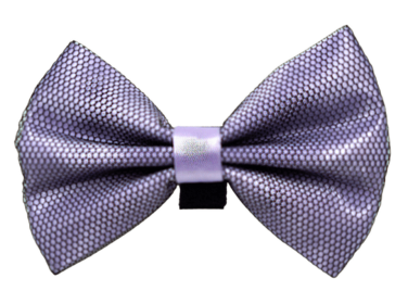 PR3005|Pets Ribbons (Color: 4, size: 3")