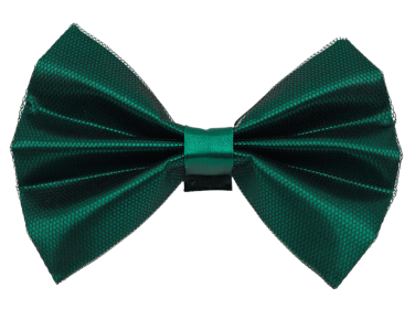 PR3005|Pets Ribbons (Color: 3, size: 6")