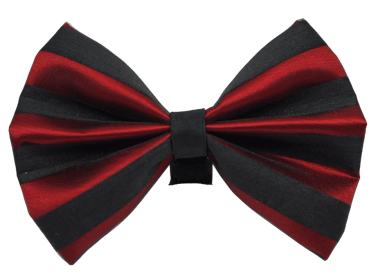 PR3006|Pets Ribbons (Color: 2, size: 2")