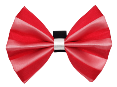 PR3006|Pets Ribbons (Color: 4, size: 2")
