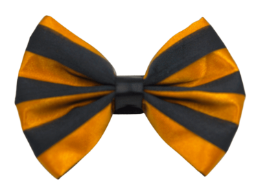 PR3006|Pets Ribbons (Color: 6, size: 4")