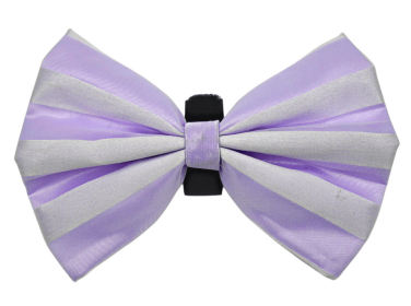 PR3006|Pets Ribbons (Color: 10, size: 4")