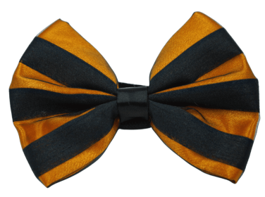 PR3006HS|Pets Ribbons (Color: Orange, size: 4")