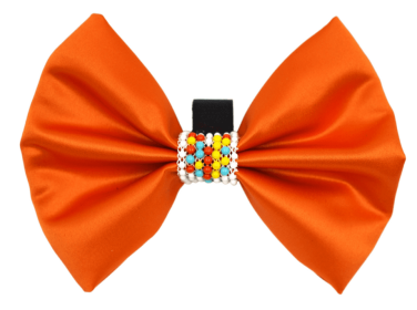 PR3008|Pets Ribbons (Color: Orange, size: 3")