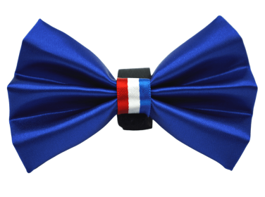 PR3009|Pets Ribbons (Color: Blue, size: 2")