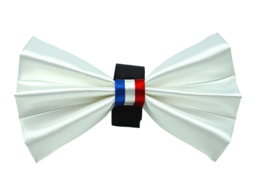 PR3009|Pets Ribbons (Color: White, size: 2")