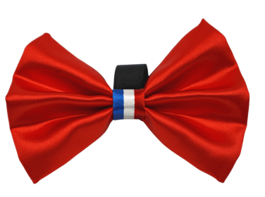PR3009|Pets Ribbons (Color: Red, size: 5")