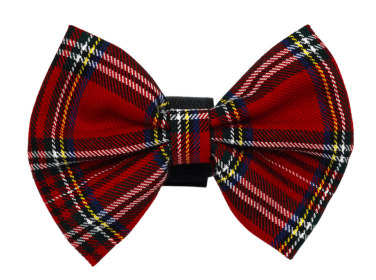 PR4013|Pets Ribbons (Color: Red, size: 4")