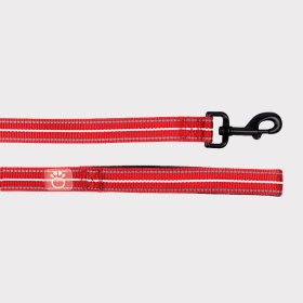 GF Pet  Reflective Leash (Color: Red, size: XS/Small)