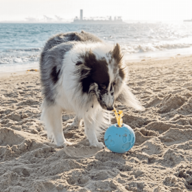 Paw Me! Treat Ball Dispenser (Color: Blue)