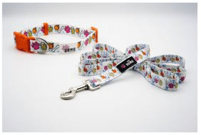 Dog Collar And Leash Set (Color: Bones and Brews, size: Small/Medium)